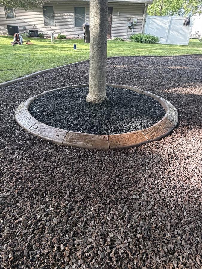 Decorative concrete tree ring curbing finished with fresh mulch.